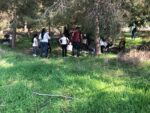 סדנת משחקי יער