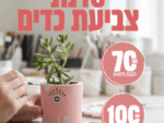סדנת צביעת כדים