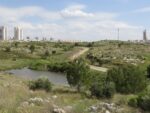 סיור טבע לבריכת החורף בעיר
